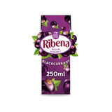 Ribena Blackcurrant Carton 250ml